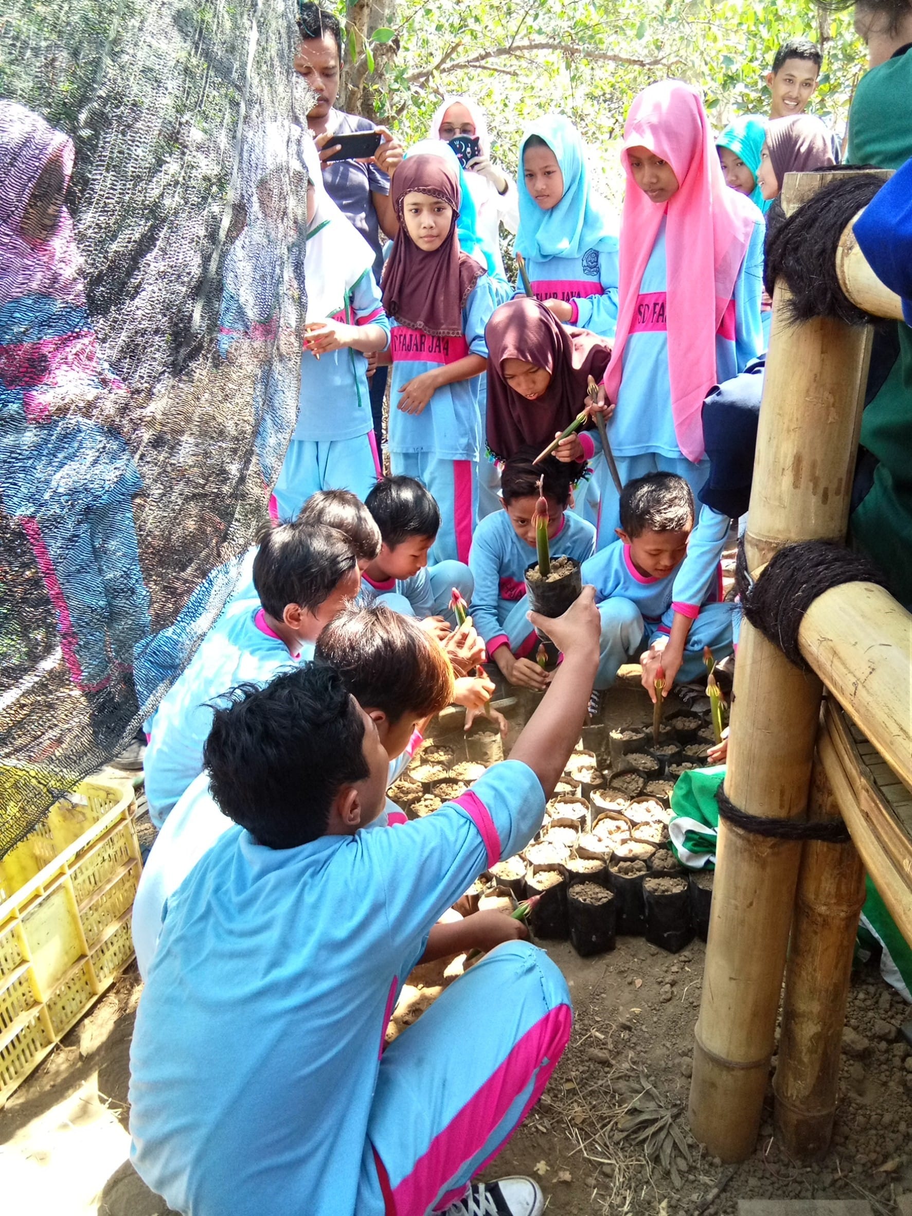 ANAK-anak SD belajar mengenai tenaman magrove bersama dengan BEM UNAIR. (Foto: Istimewa)