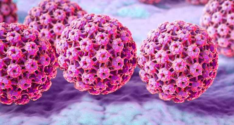 Infecția cu HPV și cancerul de col uterin - Synevo