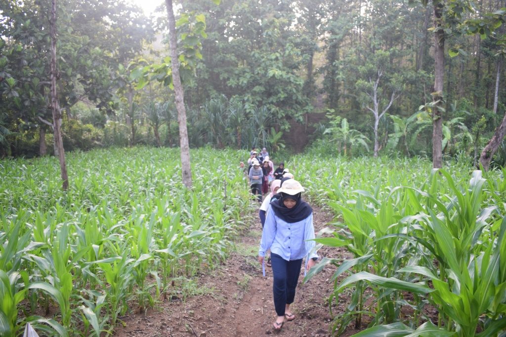 Pemandangan Alam Desa Cupak Kecamatan Ngusikan Kabupaten Jombang (Foto: Athallah Aksa Yudistira)