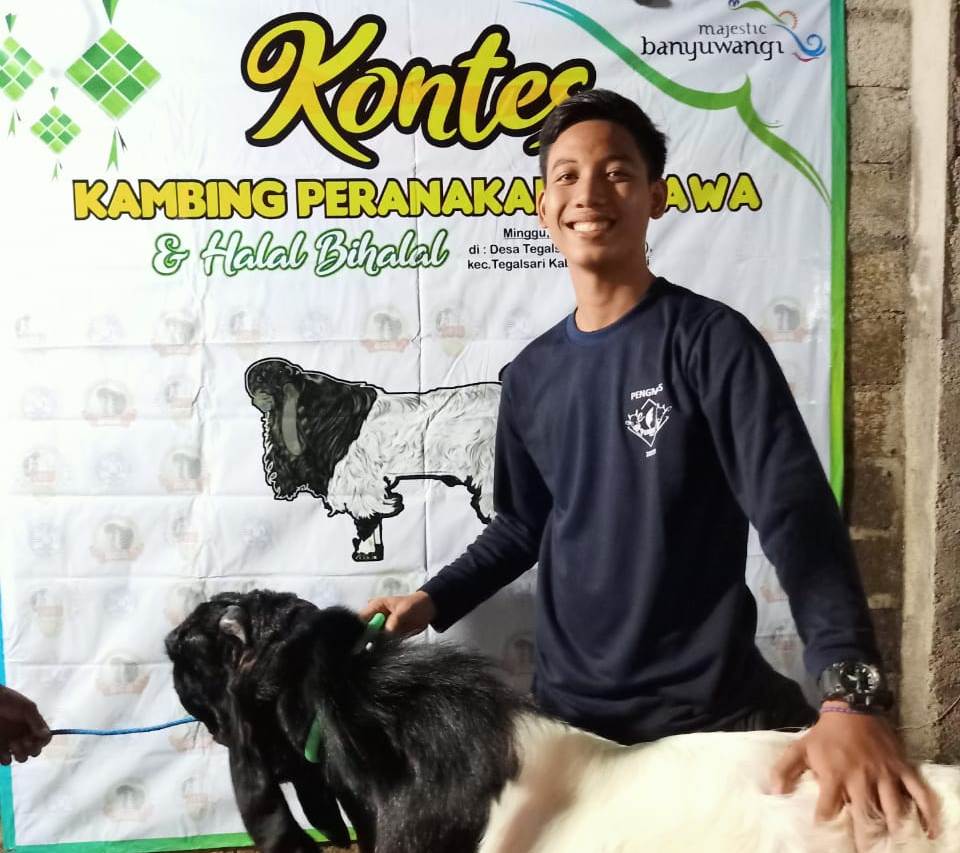 Read more about the article FKH PSDKU Turut Sukseskan Kontes Ternak Kambing Peranakan Etawa