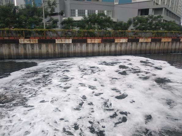 Read more about the article Limbah Laundry Tingkatkan Kematian Ikan Hingga Terjadinya Banjir