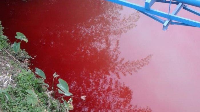 Read more about the article How to Treat Synthetic Dye Waste with Environmentally Friendly Method?