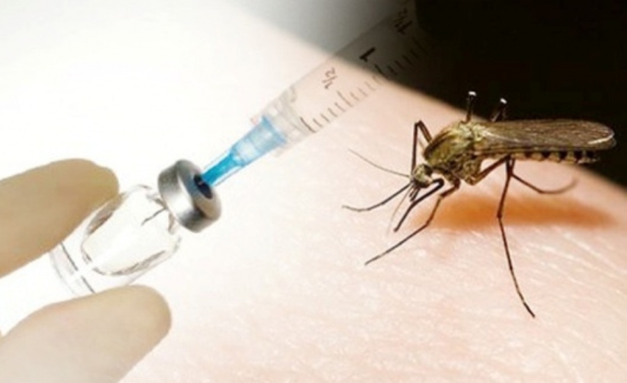 Read more about the article Vaksin Dengue Multivalen Menginduksi Antibodi Netralisasi pada Kelinci