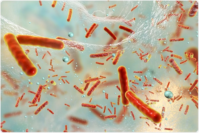 Read more about the article Get to Know the Causes of Biofilm Growth Failure
