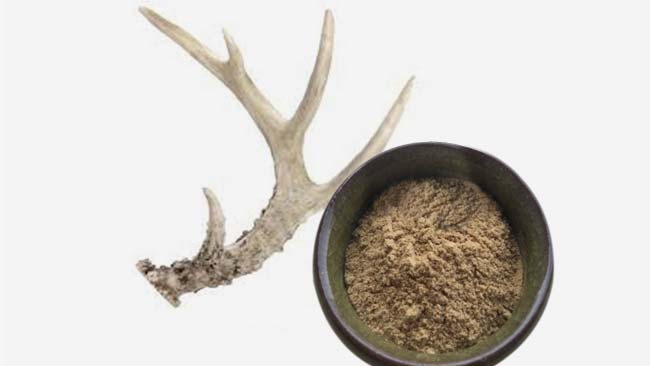 Read more about the article East Kalimantan Deer Antler Extract As A Drug Preformulation Initiation