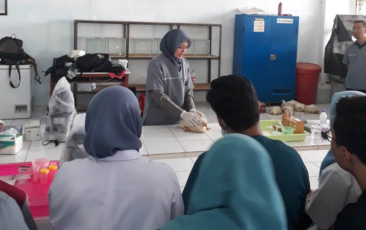 Read more about the article Avian Training FKH PSDKU Bekali Mahasiswa Tentang Teknik Nekropsi Unggas