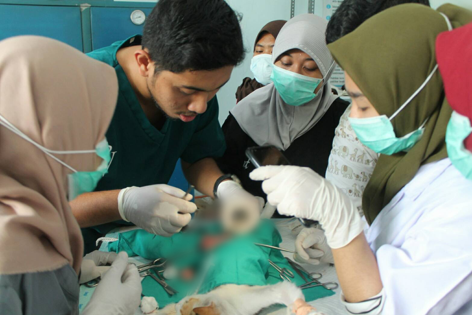 Read more about the article Mantapkan skill, HMKH UNAIR Banyuwangi Adakan Pelatihan Ovariohysterectomy