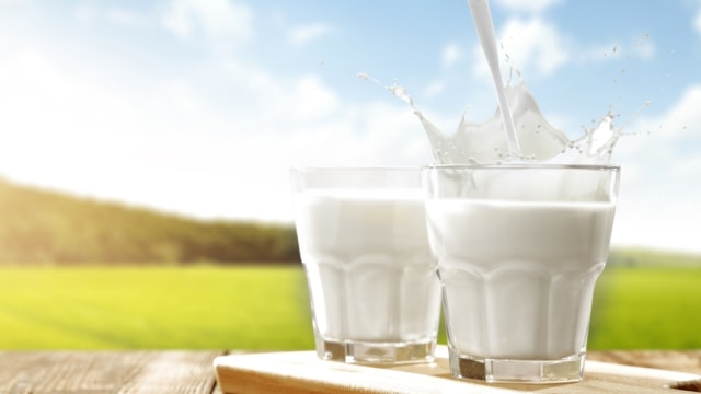 Read more about the article Apakah Susu Segar Lebih Baik Dikonsumsi Dibandingkan dengan Susu Pasteurisasi?