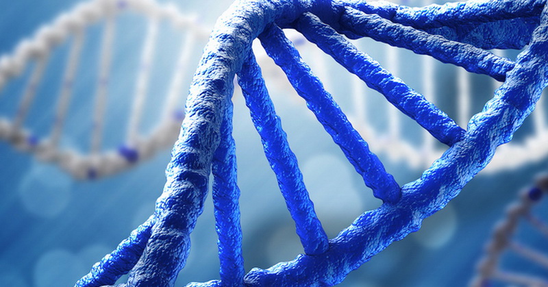 Read more about the article Hubungan Paparan PM2.5 dan PM10 dengan Kerusakan DNA
