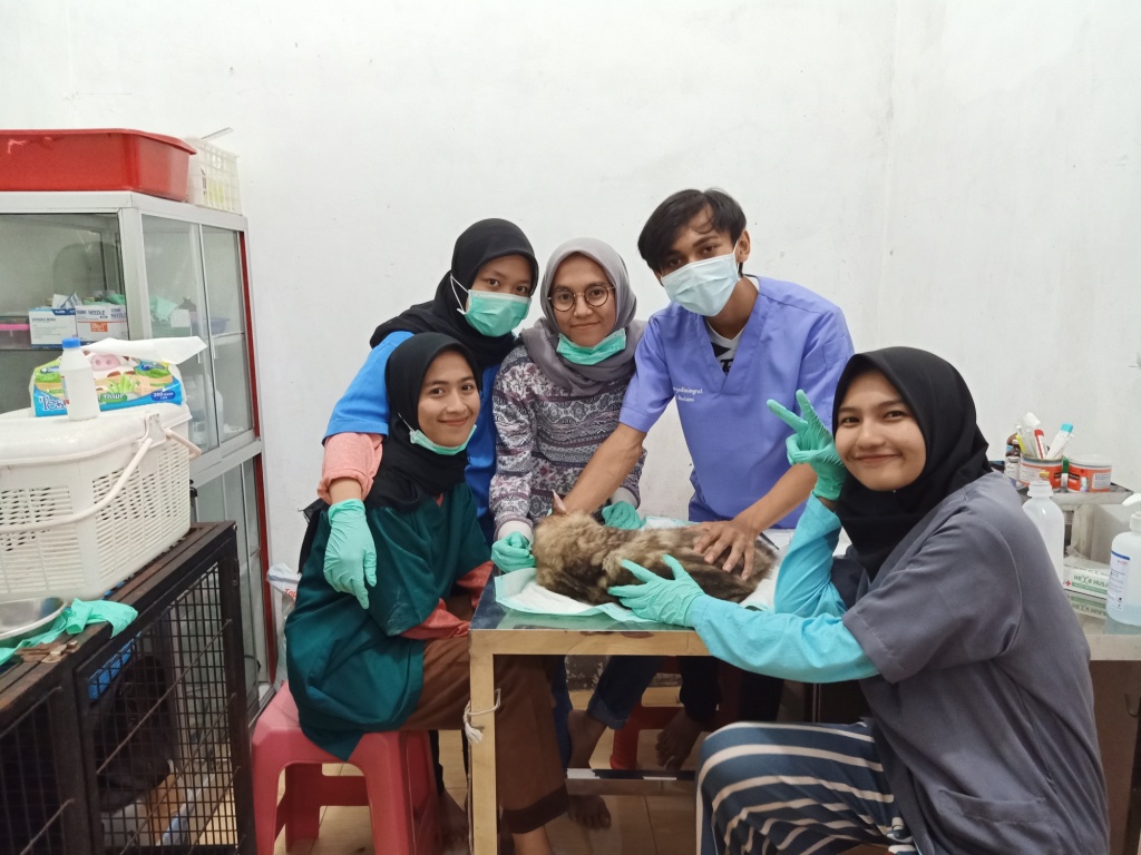 Read more about the article FKH students gain experience through internships