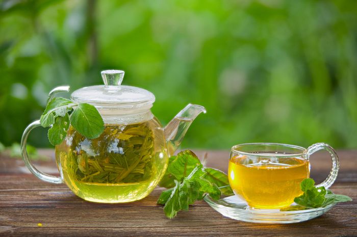 Read more about the article East Java green tea methanolic extract can enhance RUNX2 and Osterix expression during Orthodontic tooth movement in vivo