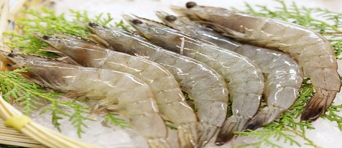 Read more about the article Hydrogen peroxide to improve potential redox land preparation for Vanname shrimp production