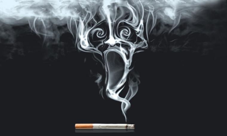 Read more about the article The dangers of nicotine smoke against male rat fertility