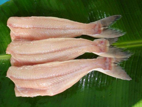 Read more about the article Potensi Asam Amino Lisin dalam Pakan Komersial untuk Pertumbuhan, Kandungan Protein, dan Asam Lemak Daging Ikan Patin
