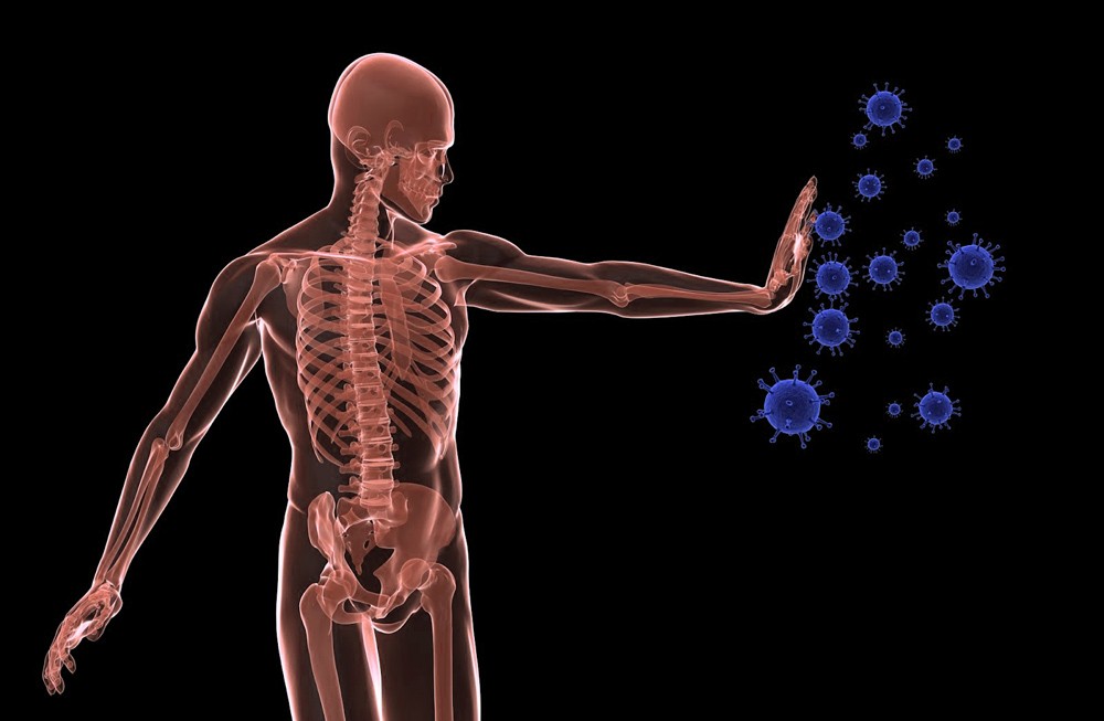 Read more about the article Potensi Multistrain Probiotik sebagai Imunomodulator
