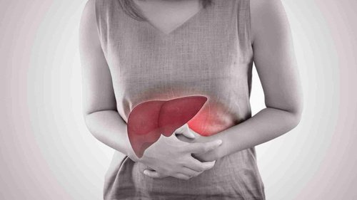 Read more about the article Adakah Pengaruh Probiotik pada Respon Imun Bawaan Liver?