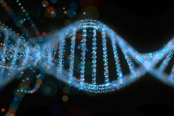 Read more about the article Estimasi Usia Seseorang Melalui Methilasi DNA