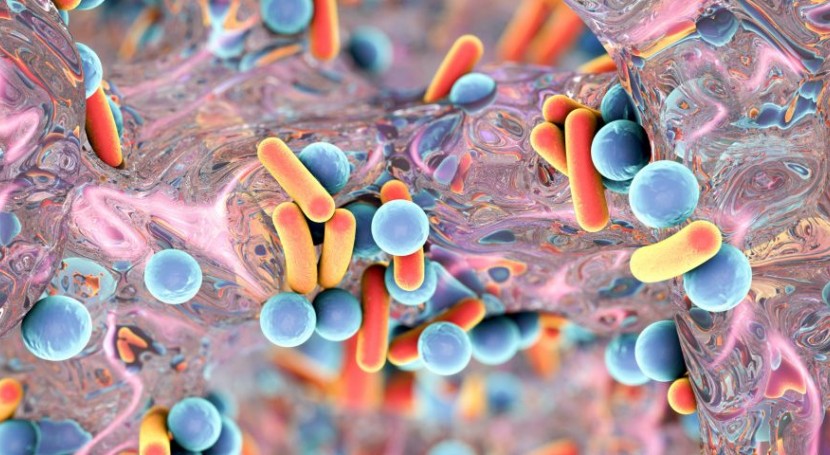 Read more about the article Pembentukan Biofilm Bakteri sebagai Marker untuk Deteksi Dini