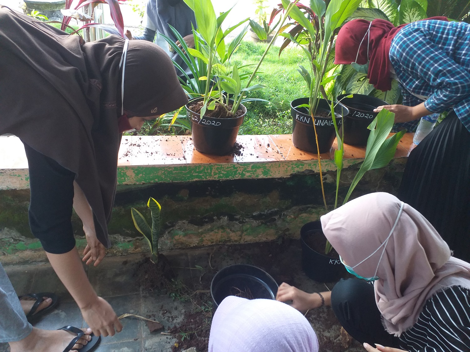 Read more about the article Tim KKN Desa Pucangan Ajak Warga Tanam Toga dan Akuaponik sebagai Upaya Cegah Covid-19