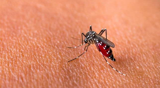 Read more about the article Prognostic factors of severe dengue infections in children