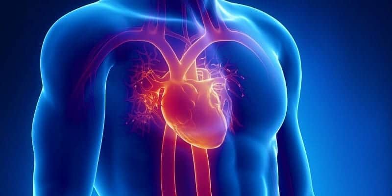 Read more about the article Korelasi Indeks Massa Tubuh dengan Struktur Atrium Kiri dan Ventrikel Kiri Penderita Jantung Hipertensi