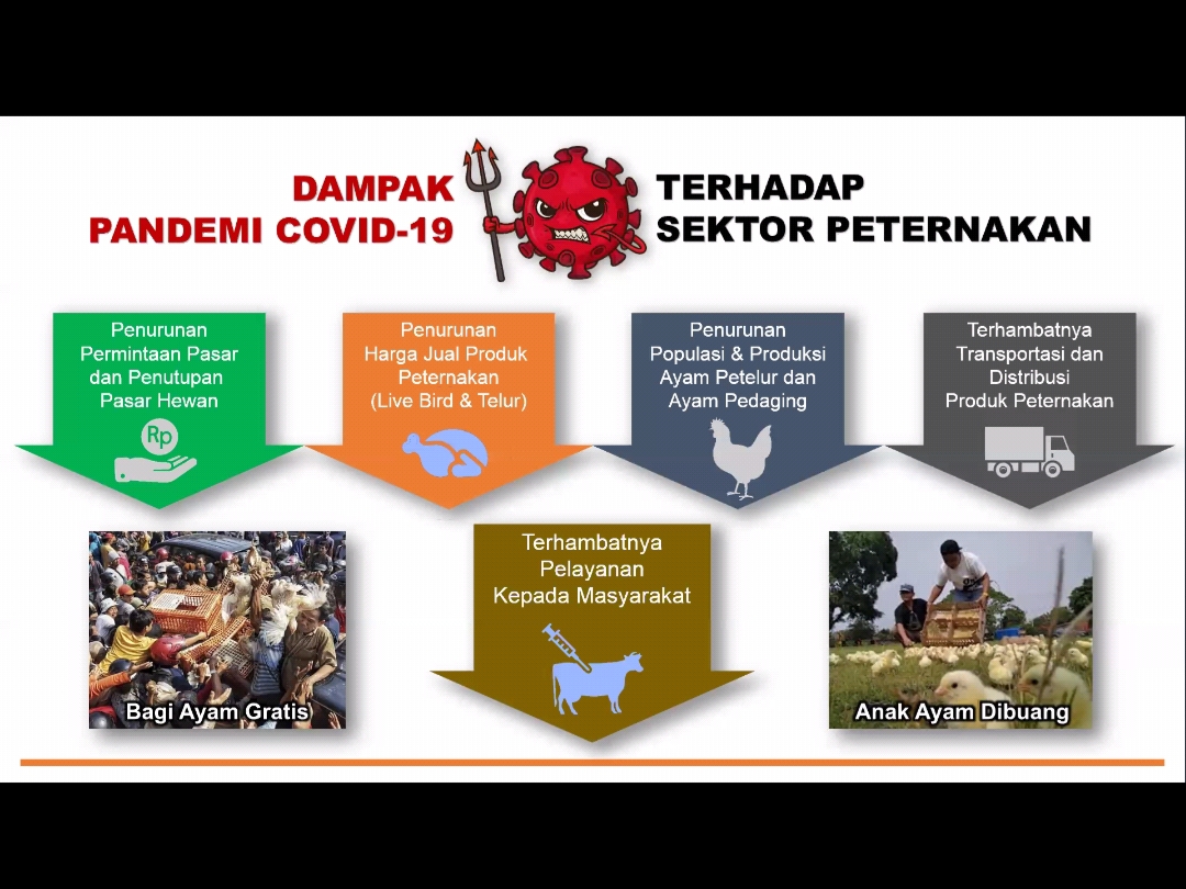 Read more about the article Pengmas FKH UNAIR Didorong Bantu Pemulihan Ekonomi Bidang Peternakan