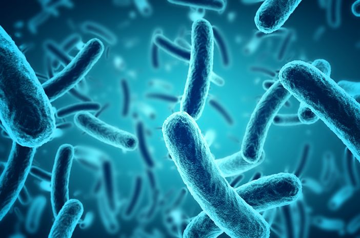 Read more about the article Anti Adherensi IgY A. actinomycetemcomitans  terhadap Perlekatan Bakteri A. actinomycetemcomitans pada Sel Enterosit