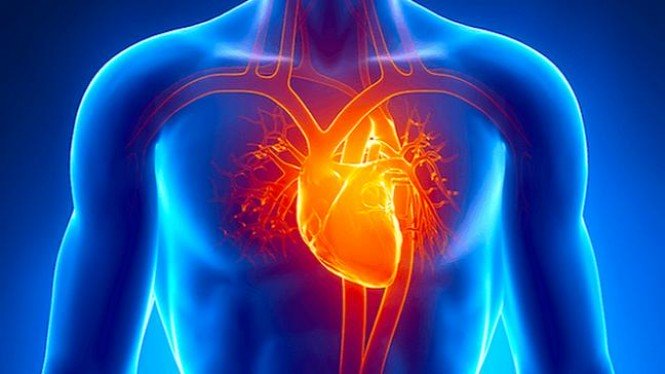 Read more about the article Risiko Kardiovaskuler 5 Tahun Pasca Preeklampsia Tipe Dini dan Lambat