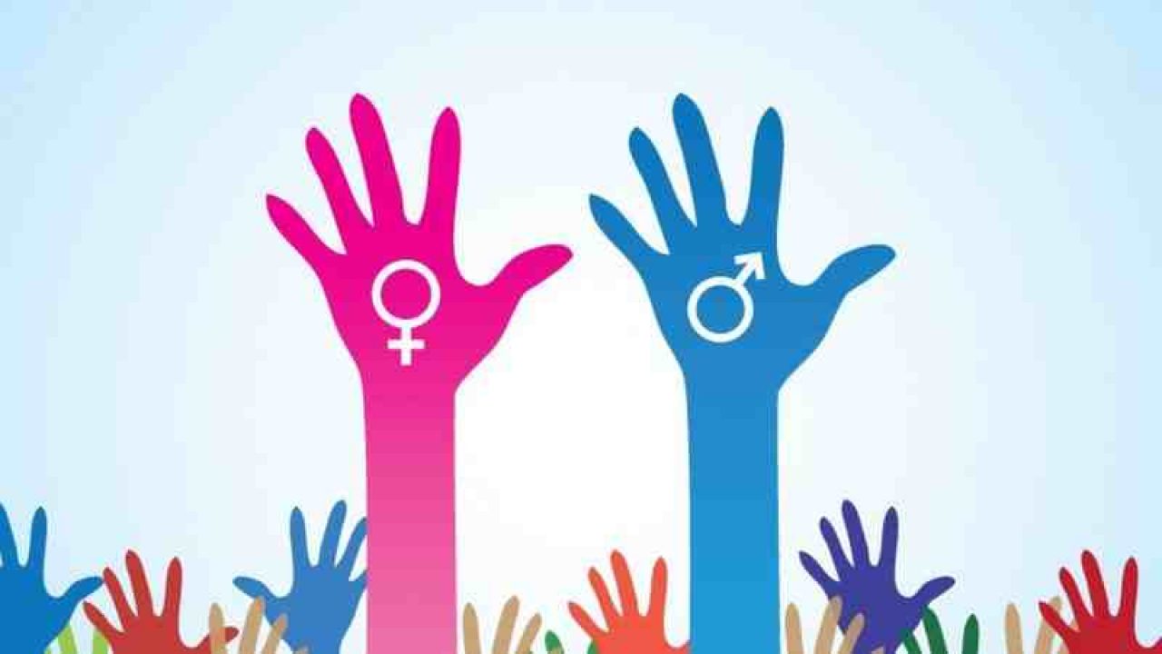 Read more about the article Pengaruh Keragaman Gender Dewan, Industri dan Ukuran Perusahaan terhadap Donasi Corporate Social Responsibility