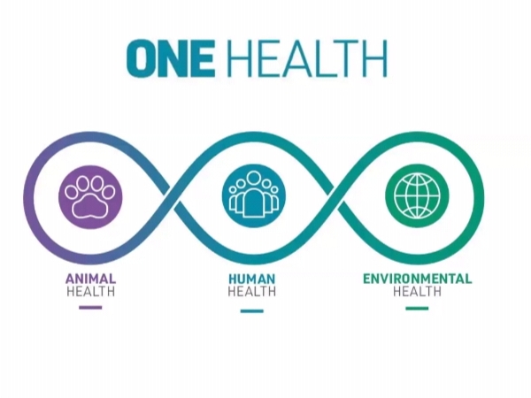 Read more about the article Pentingnya Elemen Kolaborasi Multisektoral dan Partnership dalam One Health
