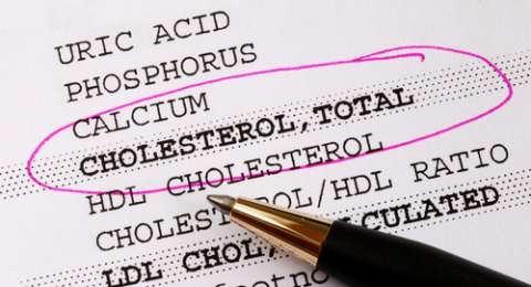 Read more about the article Function of Imperata cylindrica to lower cholesterol levels