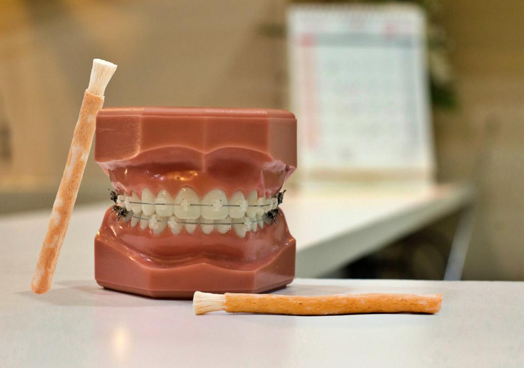 Dampak Besar Penggunaan Siwak dalam Kesehatan Mulut - Unair News