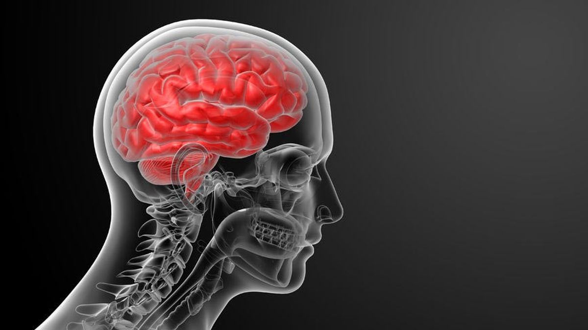 Kajian Pengetahuan Mengenai Mati Otak pada Residen (dokter PPDS I) di Indonesia - Unair News