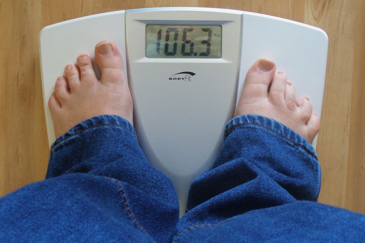 Read more about the article Remaja Obesitas: Diet dan Profil Inflamasi sebagai Penanda Awal Atherosclerosis