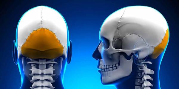 Read more about the article Rekonstruksi Tulang Kepala yang Membesar pada Hidrosefalus
