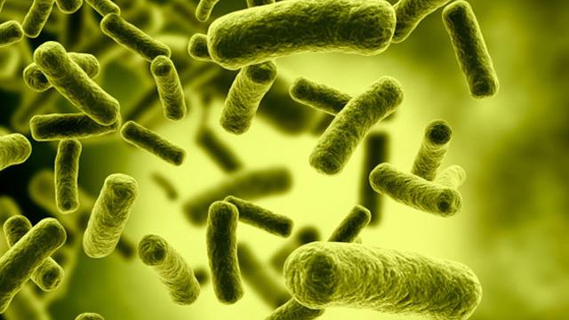 Read more about the article Enterococcus Faecalis sebagai Bakteri Penginduksi Nuclear Factor-Kappa Beta dan Osteocalcin