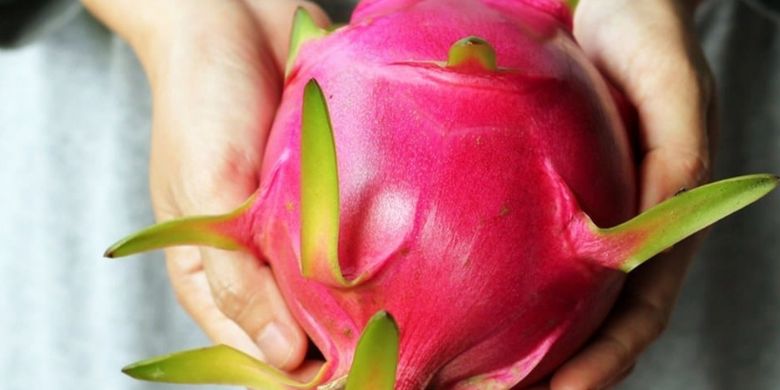 Read more about the article Potential of Red Dragon fruit rind to accelerate wound healing