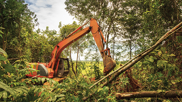Read more about the article Indonesia Darurat Deforestasi Hutan oleh Korporasi Nakal