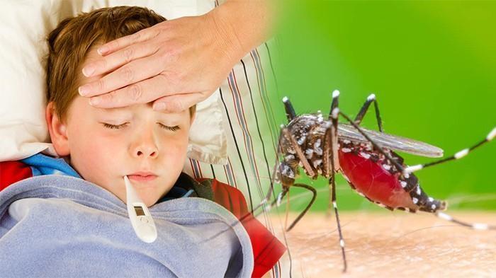 Read more about the article Ekspresi Gen Sitokin dalam Sel Mononuklear Darah Tepi yang Terinfeksi Virus Dengue