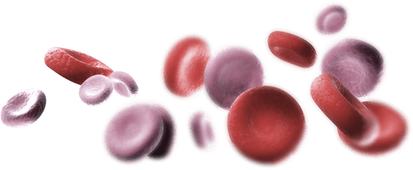 Read more about the article Terapi Asam Nukleat untuk β-thalassemia