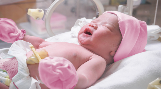 Read more about the article Kecepatan Pertumbuhan dan Kadar Imunoglobulin A pada Bayi Prematur yang Mendapatkan ASI dan ASI Yang Difortifikasi