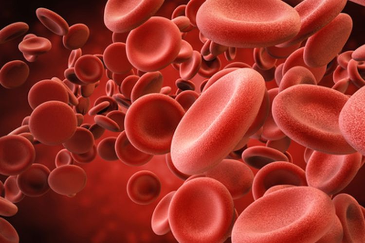 Read more about the article Perbedaan Parameter Hemoglobin, Leukosit, Trombosit, Hematokrit Sebelum dan Sesudah Ultrafiltrasi Hemodialisis pada Pasien Penyakit Ginjal Kronik