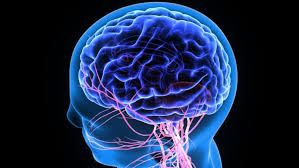 Read more about the article Membran Amnion sebagai Cangkok Lapisan Otak