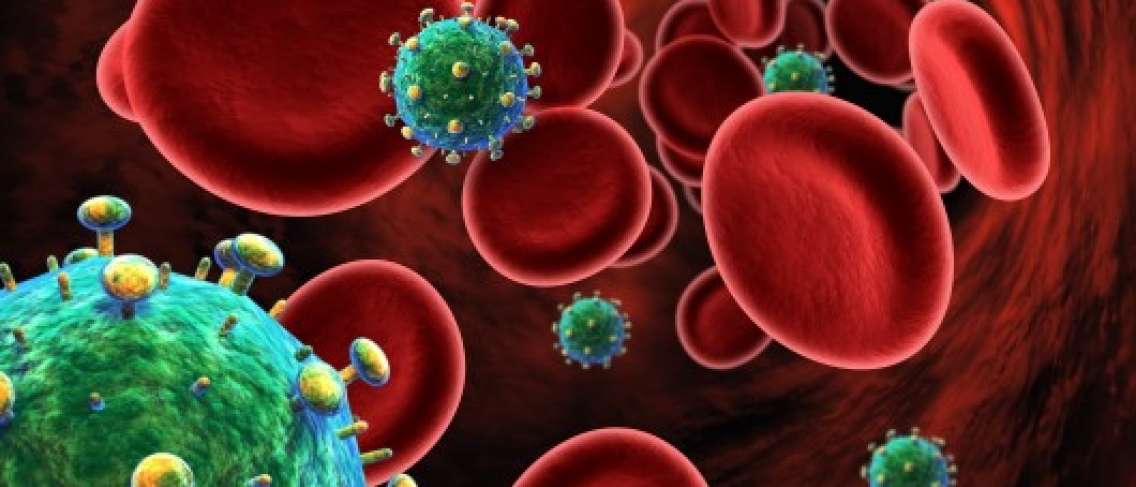 Read more about the article Pendekatan Bioinformatika: Senyawa Katekin Teh sebagai Agen Antivirus melalui Mekanisme Apoptosis dan Triple Inhibitor untuk Infeksi HIV-1