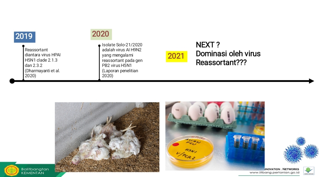 Update Perkembangan Virus Avian Influenza H5N1 dan H9N5 Tahun 20032021