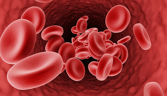 Read more about the article Rekombinan U7 snRNA Memperbaiki Splicing β-globin pada Sel Eritroid Progenitor Mencit βIVS2-654-Thalassemia
