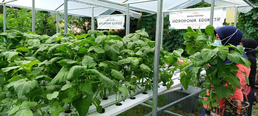 Read more about the article KSE UNAIR invites residents of Keputih Surabaya to use empty land for hydroponic farm