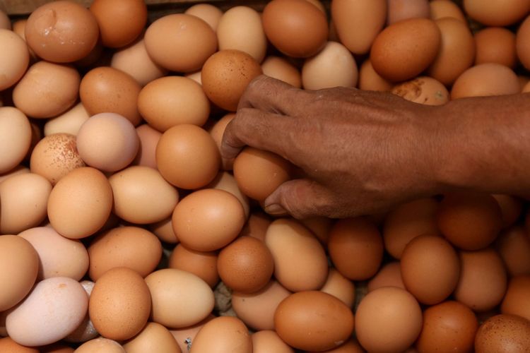Read more about the article Deteksi Salmonella spp. pada Telur Ayam Konsumsi dari Peternakan Ayam Ras dan Pasar Tradisional di Bali
