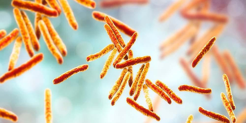 Read more about the article Identifikasi Mycobacterium Tuberculosis Berdasarkan Citra Hapusan Dahak
