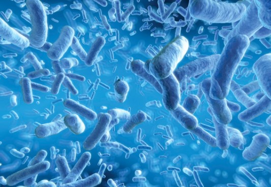 Read more about the article Multiple Drug Resistant Organism (MDRO)
